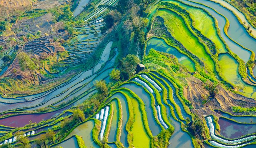 宝妈必备神器：宁河县产品视频拍摄轻松育儿好帮手